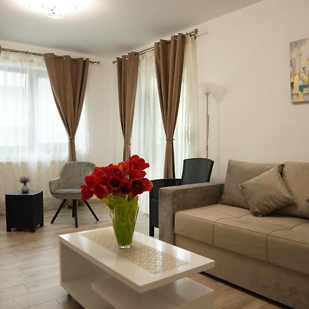 Brigitte Apartment Brašov Exteriér fotografie